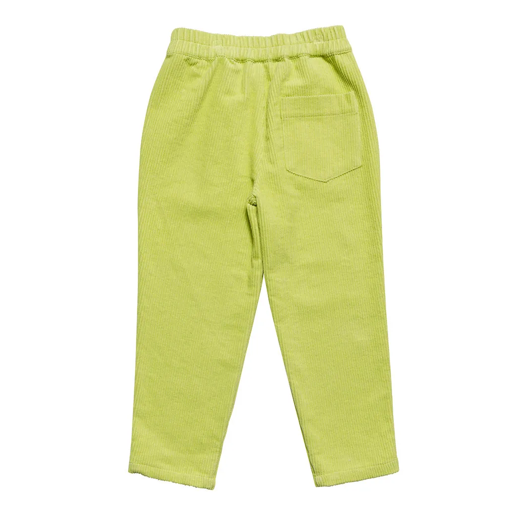 Pant Discovery Acid