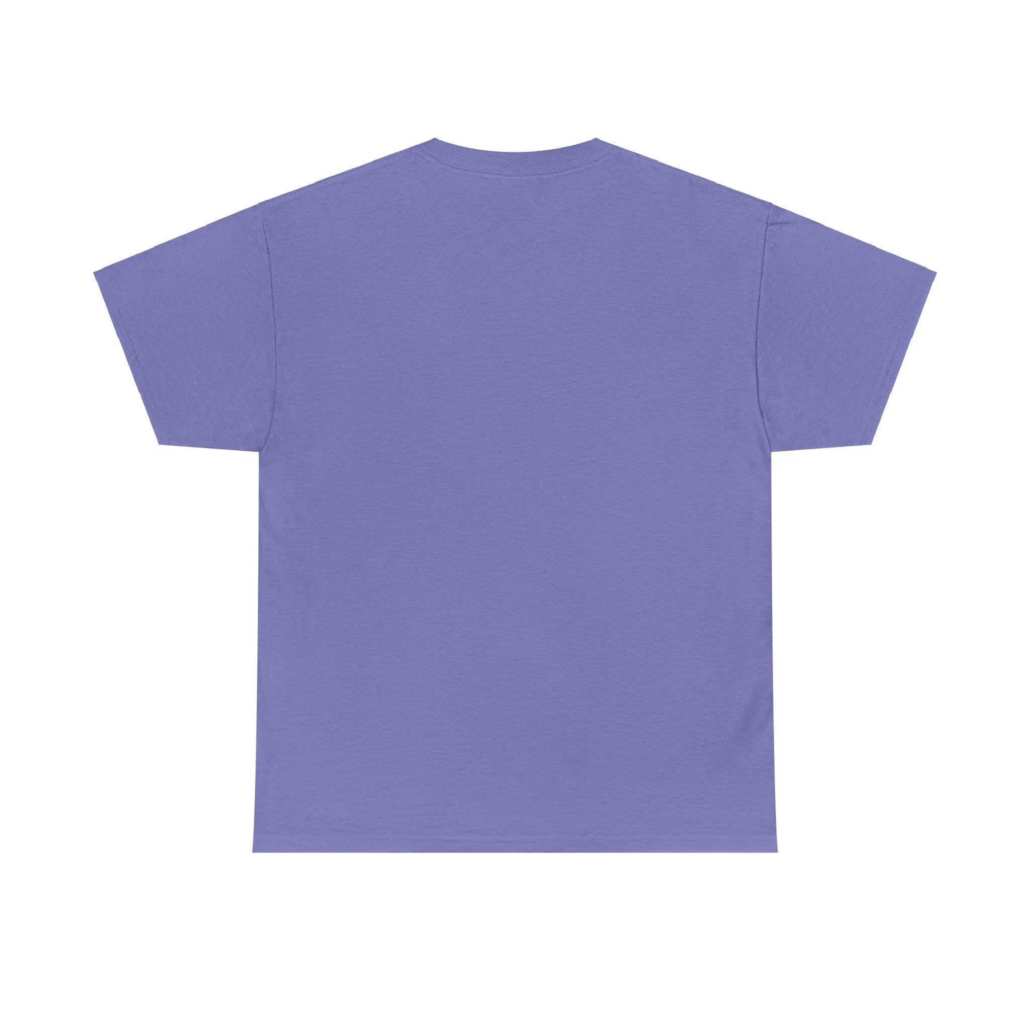 They Not Like Us 2025 Tee