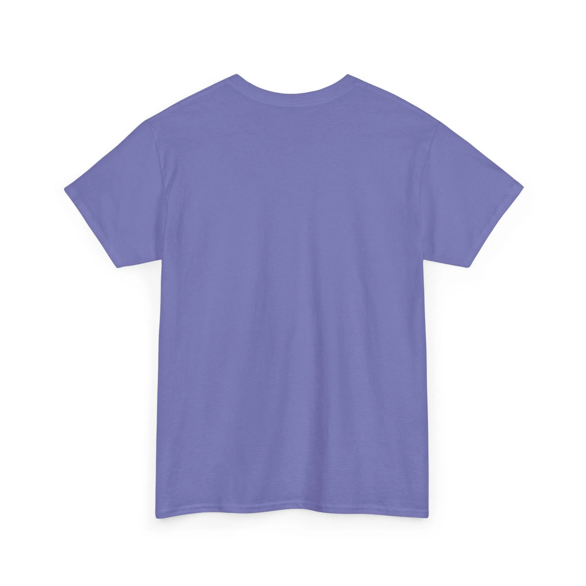 They Not Like Us 2025 Tee
