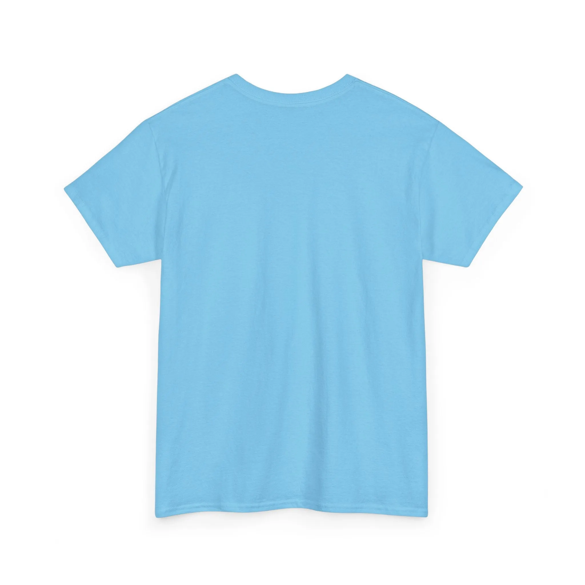 They Not Like Us 2025 Tee